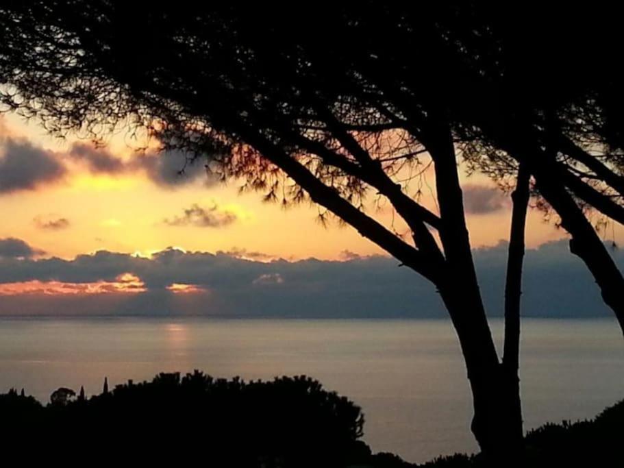 Villa Barabarca Capoliveri  Bagian luar foto
