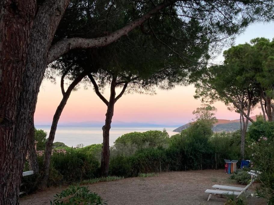 Villa Barabarca Capoliveri  Bagian luar foto