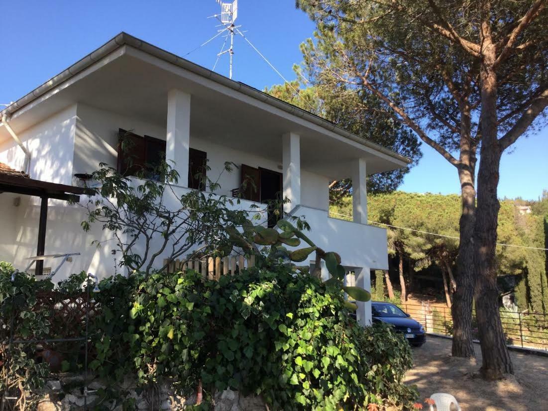 Villa Barabarca Capoliveri  Bagian luar foto